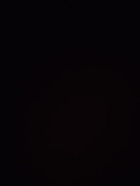 Black bundle for TS.